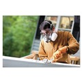 Respirators | 3M 6311P1-DC Half Facepiece Paint Spray Pesticide Respirator - Large image number 6