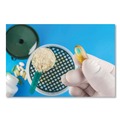 Disposable Gloves | SemperCare SCLT103 Latex Examination Gloves - Cream/Medium (100/Box) image number 1
