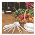 Cutlery | Eco-Products EP-S014 Plantware Compostable Heavyweight Plastic Soup Spoon - White (1000/Carton) image number 2
