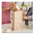 Bulk Savings Pricing 2 | Ross & Wallace Paper Products 130320500PK/BL 8.25 in. x 5.25 in. x 16.13 in. #20 Size Extra-Heavy-Duty Grocery Paper Bags - Kraft (500/Bundle) image number 3