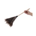 Dusters | Boardwalk BWK23FD 13 in. Handle Professional Ostrich Feather Duster image number 2
