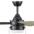 Ceiling Fans | Honeywell 51858-45 48 in. Pull Chain Ceiling Fan with Color Changing LED Light - Matte Black image number 4