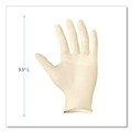 Office Jansan | Boardwalk BWK310XLCT 5 mil Thick 9.5 in. Long Powder-Free Synthetic Examination Vinyl Gloves - Extra Large, Cream (100/Box, 10 Boxes/Carton) image number 3