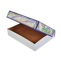 Food Trays, Containers, and Lids | SCT 2488 19 x 14 x 3.5 Mardi Gras King Cake Window Boxes - Green/Purple/White (50/Carton) image number 1