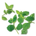 Food Service | Bigelow RCB003931 Herbal Tea - Mint Medley (28/Box) image number 5