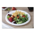 Food Trays, Containers, and Lids | SCT 18160WPF ChampWare Molded Fiber Tableware, Molded Fiber Plate, 10-in dia, White, 125 Plates/Sleeve, 4 Sleeves/Carton image number 4