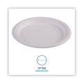 Food Service | Boardwalk PL-10BW Bagasse 10 in. Plate - White (500/Carton) image number 6