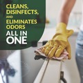 Cleaning & Janitorial Supplies | Simple Green 3310200601001 1 gal. Bottle d Pro 3 Plus Antibacterial Concentrate - Herbal (6/Carton) image number 5