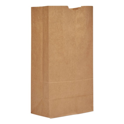 Bulk Savings Pricing 2 | Ross & Wallace Paper Products 130320500PK/BL 8.25 in. x 5.25 in. x 16.13 in. #20 Size Extra-Heavy-Duty Grocery Paper Bags - Kraft (500/Bundle) image number 0