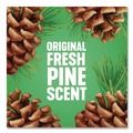 Cleaning & Janitorial Supplies | Pine-Sol 60160CT 80 oz. Concentrated Multi-Surface Disinfectant Cleaner - Pine Scent (6/Carton) image number 8