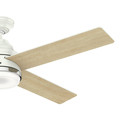 Ceiling Fans | Casablanca 59413 54 in. Daphne Ceiling Fan with Light and Integrated Wall Control (Fresh White) image number 2