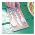 Cutlery | World Centric AS-PS-R Plastic Fork/Knife/Spoon Medium Heavyweight TPLA Cutlery - Light Beige (24/Pack) image number 2