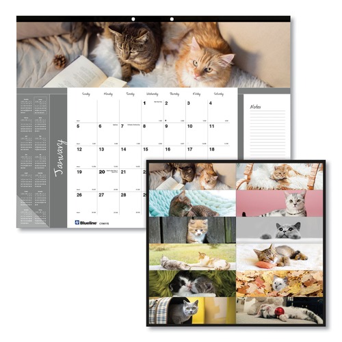 Office & Office Supplies | Blueline C194115 12-Month (Jan-Dec): 2026 22 in. x 17 in. Furry Kittens Photography Pets Collection Monthly Desk Pad - White Sheets, Black Binding image number 0