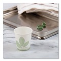  | SOLO R53BB-JD110 Bare 5 oz. Compostable Paper Cold Cups - White (3000/Carton) image number 8