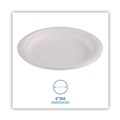 Food Service | Boardwalk PL-06BW 6 in. Diameter Bagasse Dinnerware Plate - White (1000/Carton) image number 5