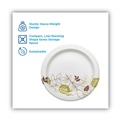 Bowls and Plates | Dixie SXP9PATH Pathways Soak Proof Shield 8.5 in. Paper Plates - Green/Burgundy (125/Pack) image number 1