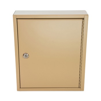 CONTROLTEK 10.63 in. x 3 in. x 12.13 in. 60-Key Metal Lockable Key Cabinet - Sand