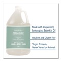 Cleaning & Janitorial Supplies | Diversified Hospitality Solutions GAL04DBGW128 Terra Pure 1 Gallon Body Wash - Green Tea Lemongrass (4/Carton) image number 2