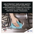 Cleaning & Janitorial Supplies | Professional EASY-OFF 62338-85260 24 oz. Aerosol Spray Fume-Free Max Foam Oven Cleaner - Lemon image number 6