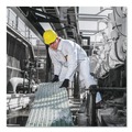 Bib Overalls | Ansell 49105 A20 Breathable Particle Protection Coveralls with Zip Closure - Double Extra Large, White (24/Carton) image number 5