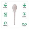Labor Day Sale! Save $30 off $199! | Eco-Products EP-S013-W Plantware 6 in. Spoon Compostable Cutlery - White (1000/Carton) image number 6