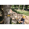 Pole Saws | Factory Reconditioned Dewalt DCPS620M1R 20V MAX XR Brushless Lithium-Ion Cordless Pole Saw Kit (4 Ah) image number 15