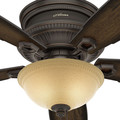 Ceiling Fans | Hunter 53355 52 in. Traditional Ambrose Bengal Ceiling Fan with Light (Onyx) image number 4