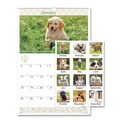 Calendars & Planners | AT-A-GLANCE DMW16728 12-Month (Jan to Dec): 2026 15.5 in. x 22.75 in. Puppies Photography Puppies Monthly Wall Calendar - White/Multicolor Sheets image number 1