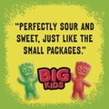 Food and Snacks | Sour Patch 00 70462 43147 00 Fruit Flavored Candy Grab-And-Go 240-Pieces/box image number 4