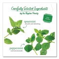Food Service | Bigelow RCB003931 Herbal Tea - Mint Medley (28/Box) image number 2