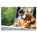 Respirators | 3M 6311P1-DC Half Facepiece Paint Spray Pesticide Respirator - Large image number 6