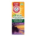 Odor Control | Arm & Hammer 33200-11535 30 oz. Box Fresh Scentsations Carpet Odor Eliminator - Island Mist (6/Carton) image number 1