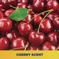 Hand Soaps | Zep Commercial ZUCBHC484 48 oz. Cherry Bomb Gel Hand Cleaner - Cherry Scent (4/Carton) image number 7