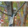 Shears & Pruners | Fiskars 393911 7 - 12 ft. Chain-Drive Extendable Tree Pruner image number 1
