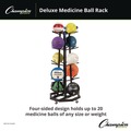Office Filing Cabinets & Shelves | Champion Sports MBR3 25 in. x 25 in. x 56 in. 198 lbs. Capacity Deluxe 5-Row Metal Mobile Medicine Ball Rack - Black image number 2