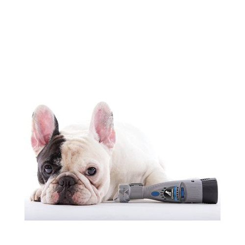 Dremel At01 Pgk At01 Pgk Pet Grooming Nail Guard Cpo Outlets