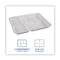  | Boardwalk TL-15-TBW 5-Compartment 8 in. x 10 in. Bagasse Dinner Tray - White (500/Carton) image number 6