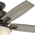 Ceiling Fans | Hunter 52225 44 in. Donegan Onyx Bengal Ceiling Fan with Light image number 2