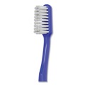 Cleaning & Janitorial Supplies | Colgate-Palmolive Co. 61034595 Cello Toothbrush (144/Carton) image number 3