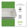 Food Trays, Containers, and Lids | Eco-Products EP-SCS8TNFA 36 oz 8 x 8 x 2 Vanguard Worldview Renewable and Compostable Sugarcane Take-Out Containers - White (200/Carton) image number 6