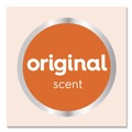 Labor Day Sale! Save $30 off $199! | Dial Professional 17000 16674 1 Liter Antibacterial Foaming Hand Wash Refill for FIT Touch Free Dispenser - Original (3/Carton) image number 4