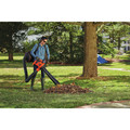 Handheld Blowers | Black & Decker BEBL7000 VACPACK 120V/240V 12 Amp Corded 3-in-1 Leaf Blower/Vacuum/Mulcher image number 12