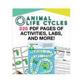 Office Electronics & Batteries | Carson-Dellosa 109567 225 Pages Grades K to 3 (Ages 5 to 8) In a Flash USB - Animal Lifestyles image number 1
