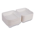 Labor Day Sale! Save $30 off $199! | Eco-Products EP-HC81 Vanguard 8 in. x 8 in. x 3 in. Compostable Sugarcane Clamshells - White (200/Carton) image number 0
