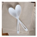 Cutlery | World Centric SP-PS-R Plastic Spoon Medium Heavyweight TPLA Cutlery - Light Beige (24/Pack) image number 2