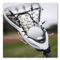 Toys | Champion Sports LBWN36 (36 Balls/Bucket) Official Size Bucket of Lacrosse Balls - White image number 6
