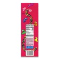 Snacks | Green Rabbit 10041420045698 0.92 oz Nerds Rope Candy - Fruity (24/Carton) image number 2