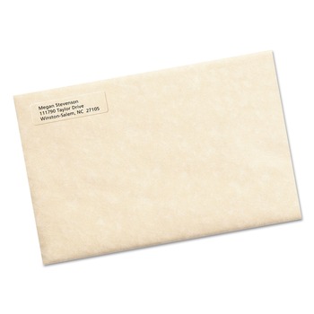 Avery 15667 1/2 in. x 1-3/4 in. Matte Clear Return Address Labels with Sure Feed Technology Laser (10 Sheets/Pack, 80/Sheet)
