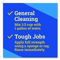 Cleaning & Janitorial Supplies | Clorox 60615CT CloroxPro Fraganzia 175 oz. Bottle Multi-Purpose Cleaner - Citrus Blossom Scent (3/Carton) image number 5