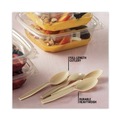 Cutlery | Pactiv Corp. YPSMSTEC 5.88 in. EarthChoice PSM Heavyweight Cutlery Spoon - Tan (1000/Carton) image number 6